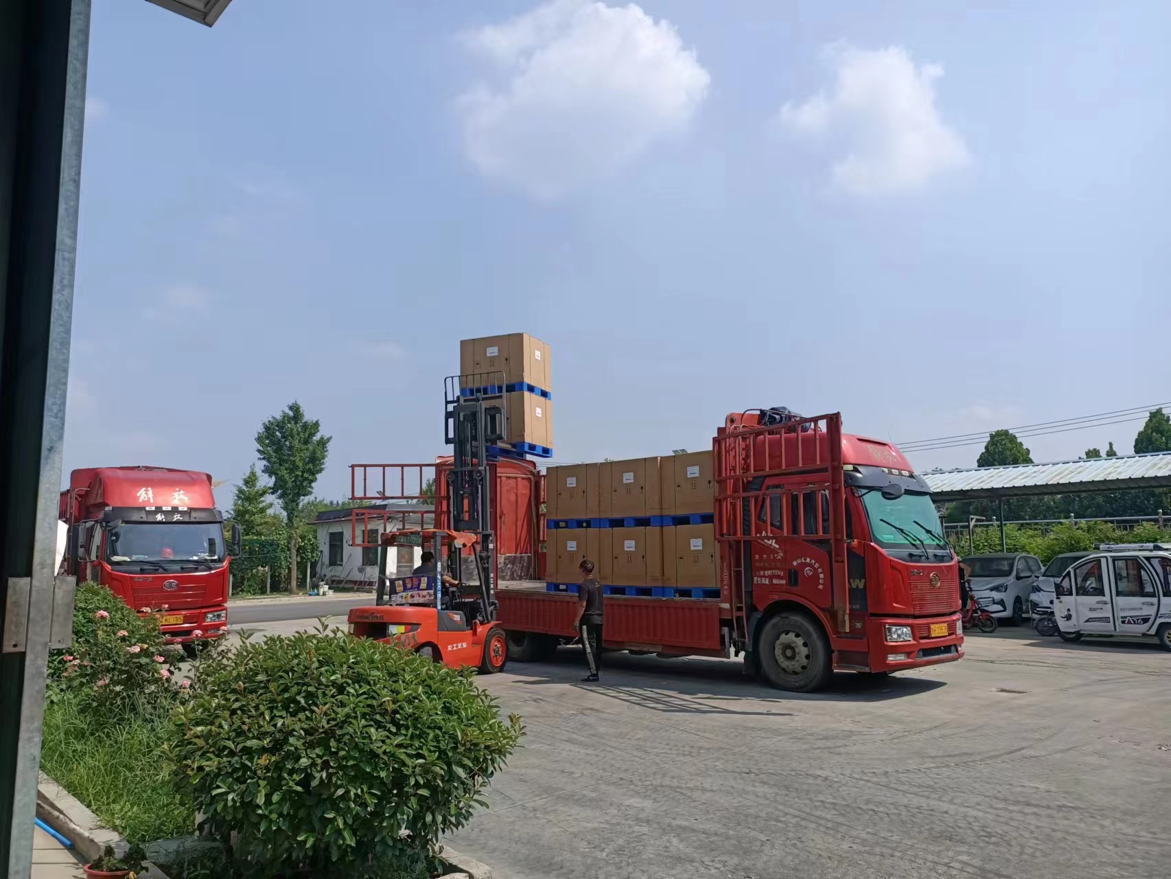 强乱强乱中文字幕